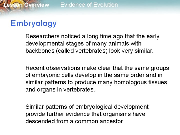 Lesson Overview Evidence of Evolution Embryology Researchers noticed a long time ago that the