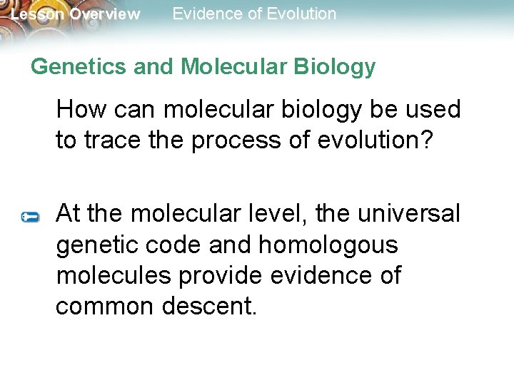 Lesson Overview Evidence of Evolution Genetics and Molecular Biology How can molecular biology be