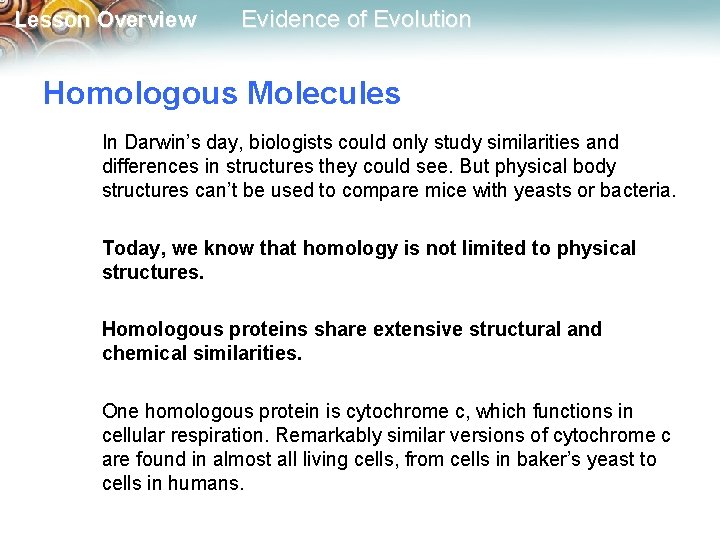 Lesson Overview Evidence of Evolution Homologous Molecules In Darwin’s day, biologists could only study