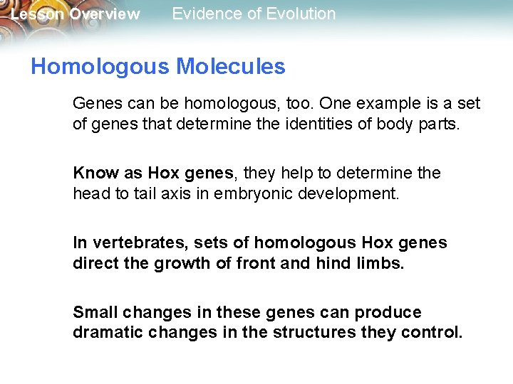 Lesson Overview Evidence of Evolution Homologous Molecules Genes can be homologous, too. One example