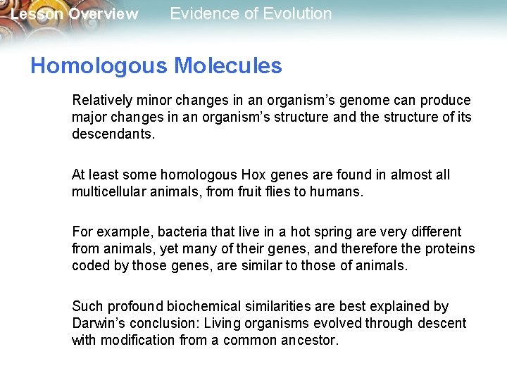 Lesson Overview Evidence of Evolution Homologous Molecules Relatively minor changes in an organism’s genome