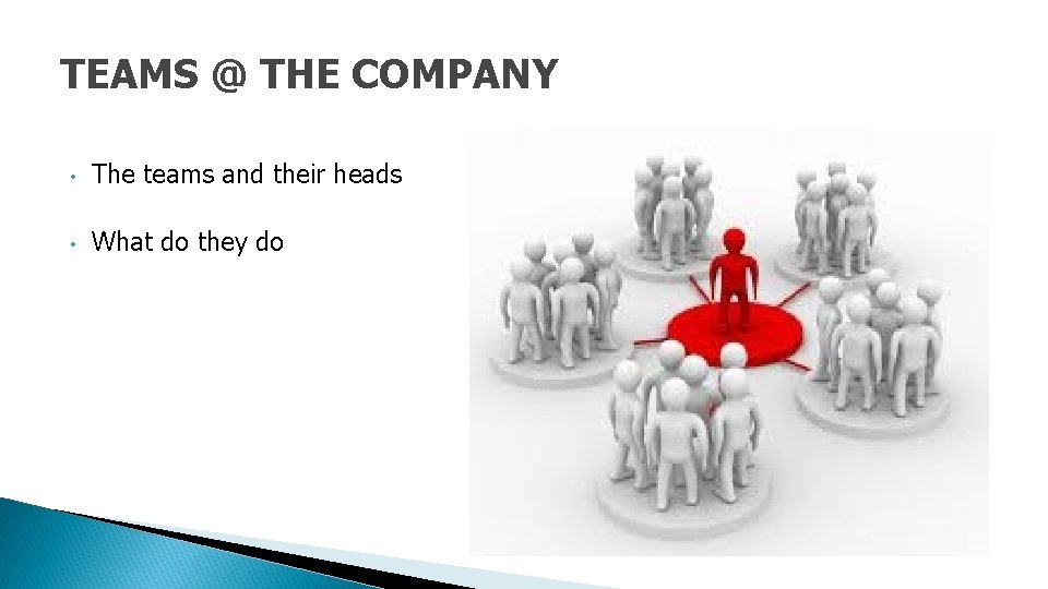TEAMS @ THE COMPANY • The teams and their heads • What do they