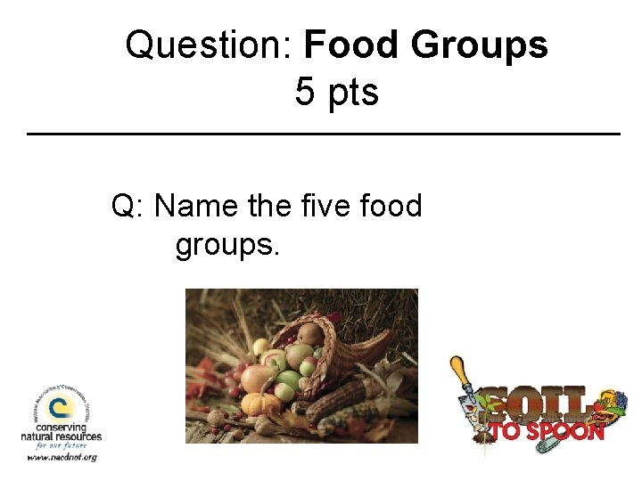 Question: Food Groups 5 pts Q: Name the five food groups. 