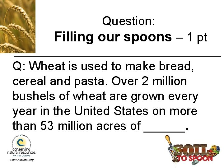 Question: Filling our spoons – 1 pt Q: Wheat is used to make bread,