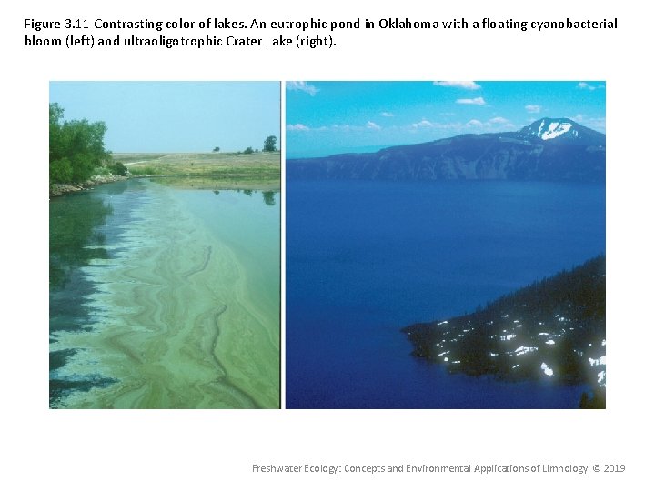 Figure 3. 11 Contrasting color of lakes. An eutrophic pond in Oklahoma with a