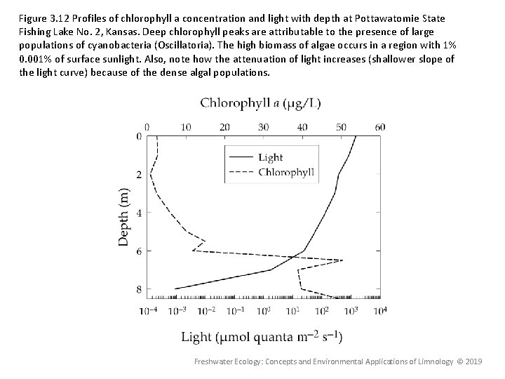 Figure 3. 12 Profiles of chlorophyll a concentration and light with depth at Pottawatomie