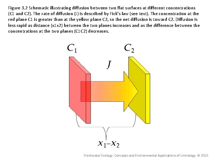 Figure 3. 2 Schematic illustrating diffusion between two flat surfaces at different concentrations (C