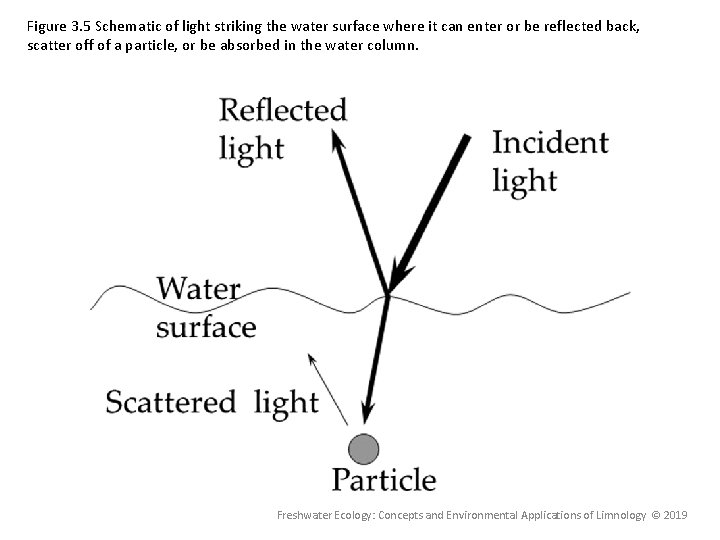 Figure 3. 5 Schematic of light striking the water surface where it can enter