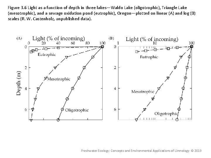 Figure 3. 6 Light as a function of depth in three lakes—Waldo Lake (oligotrophic),