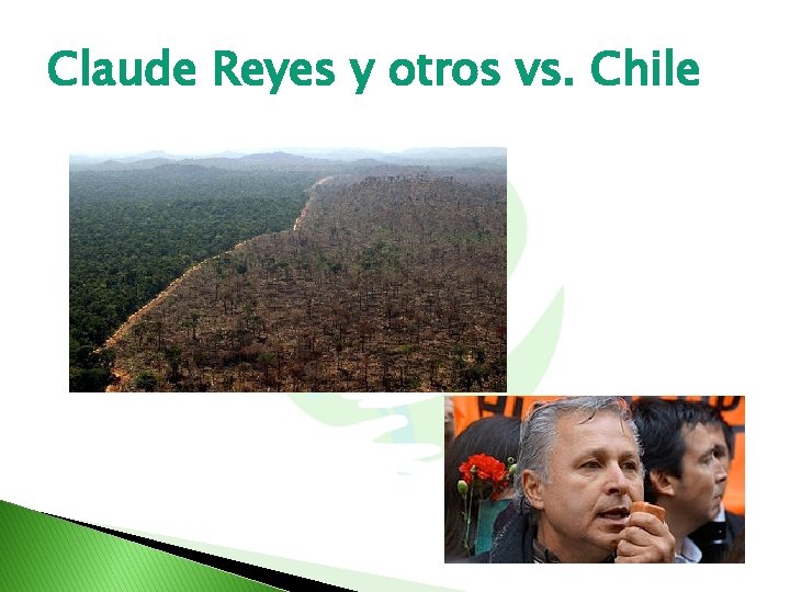 Claude Reyes y otros vs. Chile 