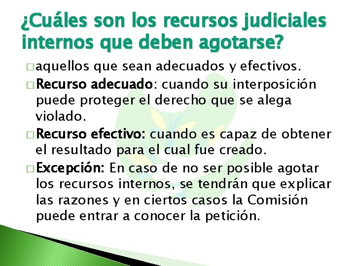 ¿Cuáles son los recursos judiciales internos que deben agotarse? � aquellos que sean adecuados