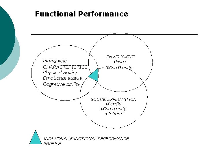 Functional Performance PERSONAL CHARACTERISTICS Physical ability Emotional status Cognitive ability ENVIROMENT • Home •