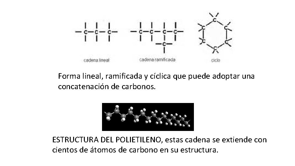 Forma lineal, ramificada y cíclica que puede adoptar una concatenación de carbonos. ESTRUCTURA DEL