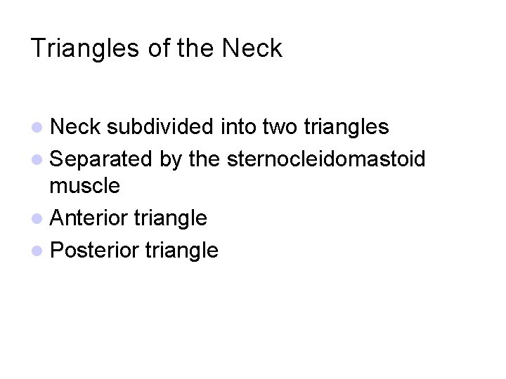 Triangles of the Neck l Neck subdivided into two triangles l Separated by the