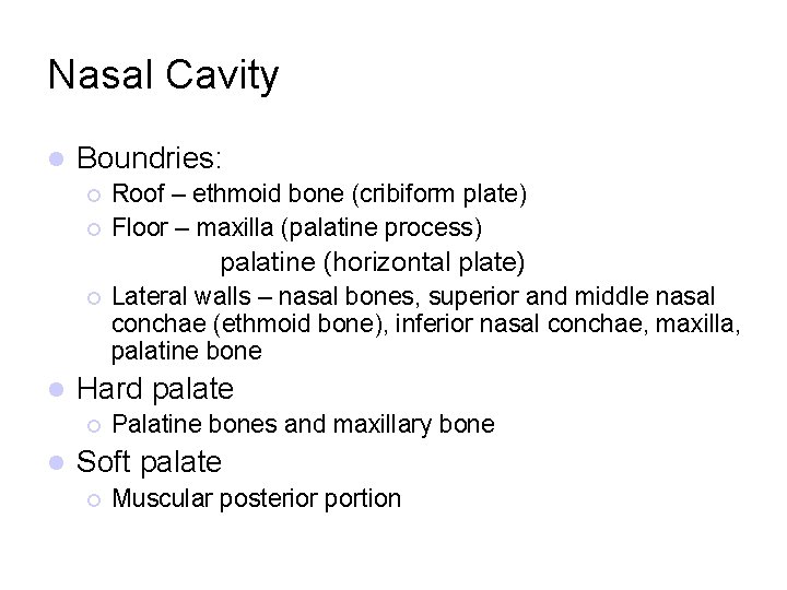 Nasal Cavity l Boundries: ¡ ¡ Roof – ethmoid bone (cribiform plate) Floor –