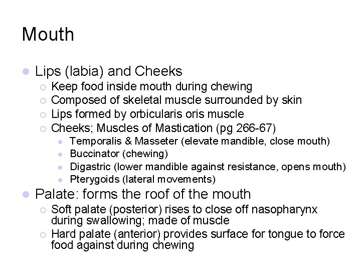Mouth l Lips (labia) and Cheeks ¡ ¡ Keep food inside mouth during chewing