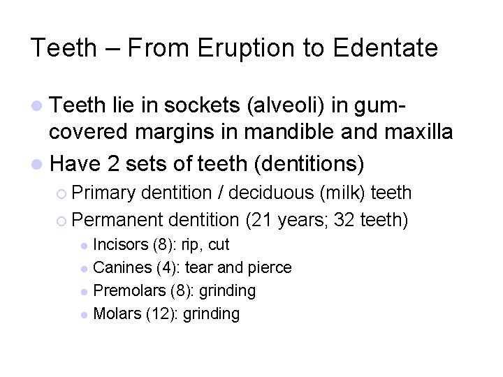 Teeth – From Eruption to Edentate l Teeth lie in sockets (alveoli) in gumcovered