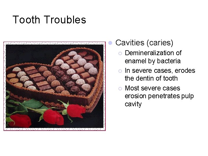 Tooth Troubles l Cavities (caries) ¡ ¡ ¡ Demineralization of enamel by bacteria In