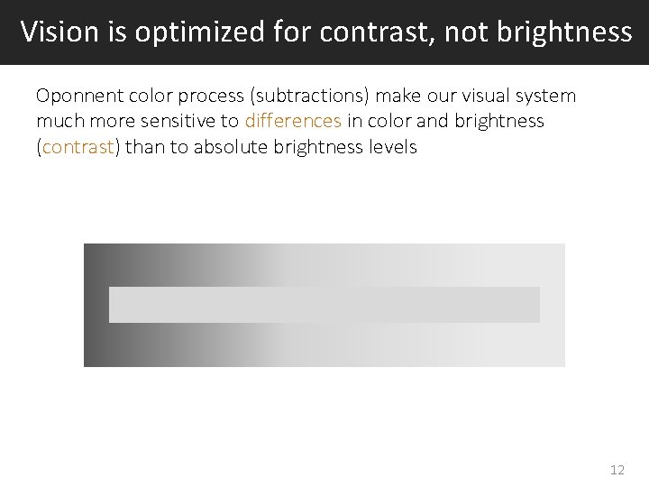 Vision is optimized for contrast, not brightness Oponnent color process (subtractions) make our visual