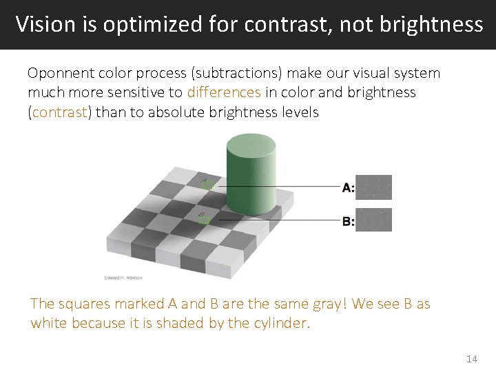 Vision is optimized for contrast, not brightness Oponnent color process (subtractions) make our visual