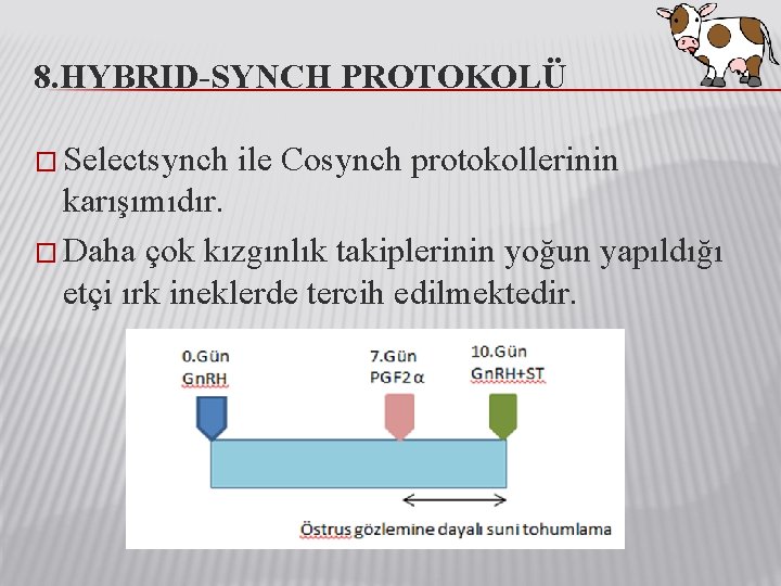 8. HYBRID-SYNCH PROTOKOLÜ � Selectsynch ile Cosynch protokollerinin karışımıdır. � Daha çok kızgınlık takiplerinin