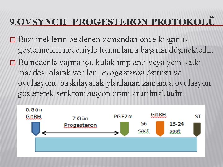 9. OVSYNCH+PROGESTERON PROTOKOLÜ Bazı ineklerin beklenen zamandan önce kızgınlık göstermeleri nedeniyle tohumlama başarısı düşmektedir.