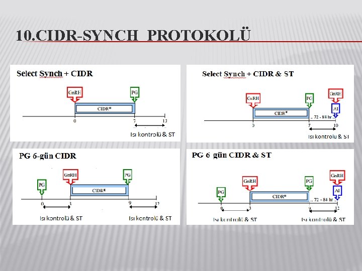 10. CIDR-SYNCH PROTOKOLÜ 