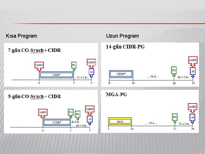 Kısa Program Uzun Program 