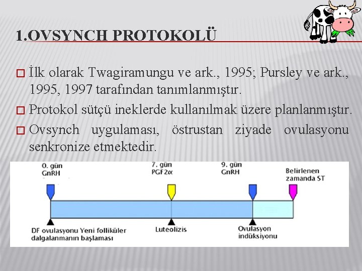 1. OVSYNCH PROTOKOLÜ İlk olarak Twagiramungu ve ark. , 1995; Pursley ve ark. ,