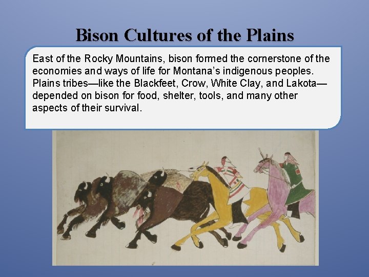 Bison Cultures of the Plains East of the Rocky Mountains, bison formed the cornerstone