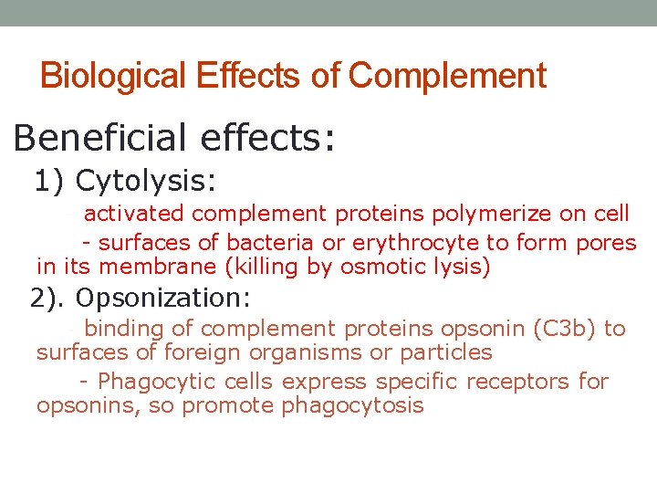 Biological Effects of Complement Beneficial effects: 1) Cytolysis: - activated complement proteins polymerize on