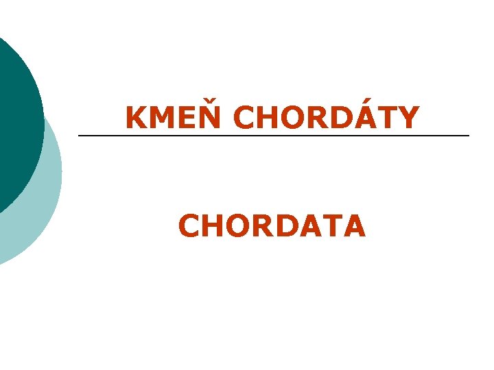 KMEŇ CHORDÁTY CHORDATA 