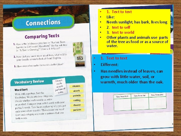  • • • 1. Text to text Like: Needs sunlight, has bark, lives