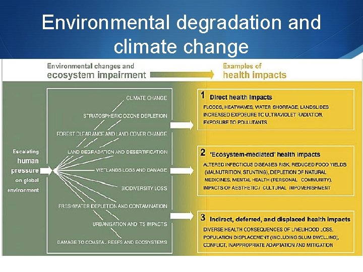 Environmental degradation and climate change 