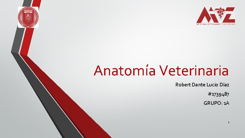 Anatomía Veterinaria Robert Dante Lucio Díaz #1739487 GRUPO: 1 A 1 