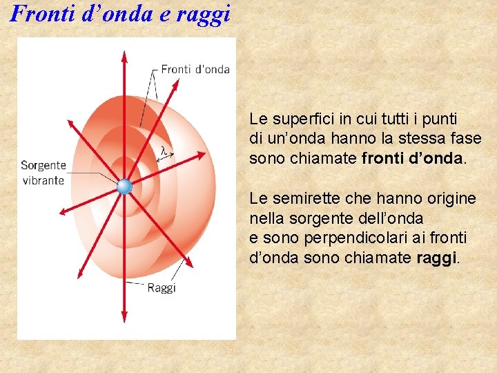 Fronti d’onda e raggi Le superfici in cui tutti i punti di un’onda hanno