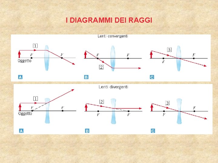 I DIAGRAMMI DEI RAGGI 