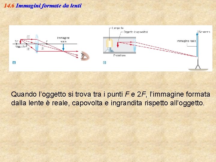 14. 6 Immagini formate da lenti Quando l’oggetto si trova tra i punti F