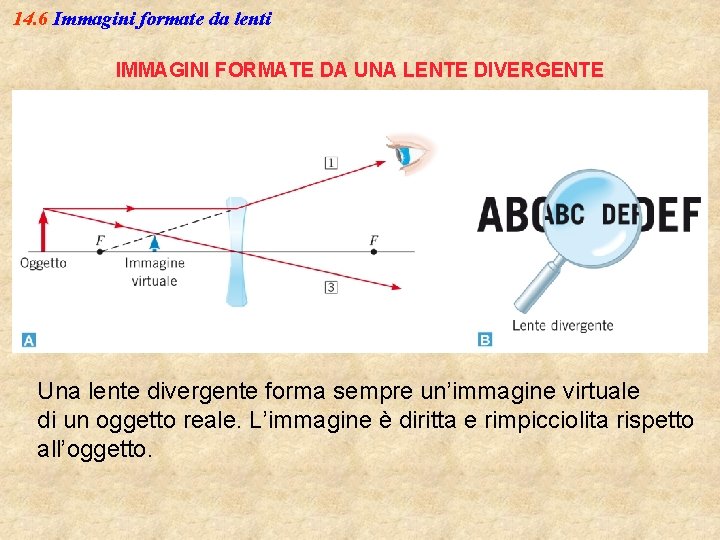 14. 6 Immagini formate da lenti IMMAGINI FORMATE DA UNA LENTE DIVERGENTE Una lente