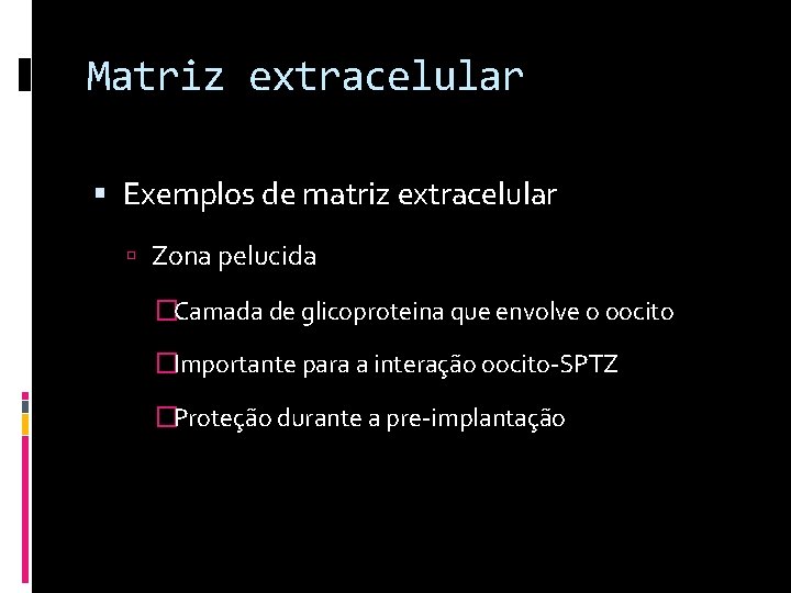 Matriz extracelular Exemplos de matriz extracelular Zona pelucida �Camada de glicoproteina que envolve o