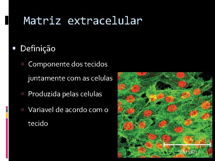 Matriz extracelular Definição Componente dos tecidos juntamente com as celulas Produzida pelas celulas Variavel