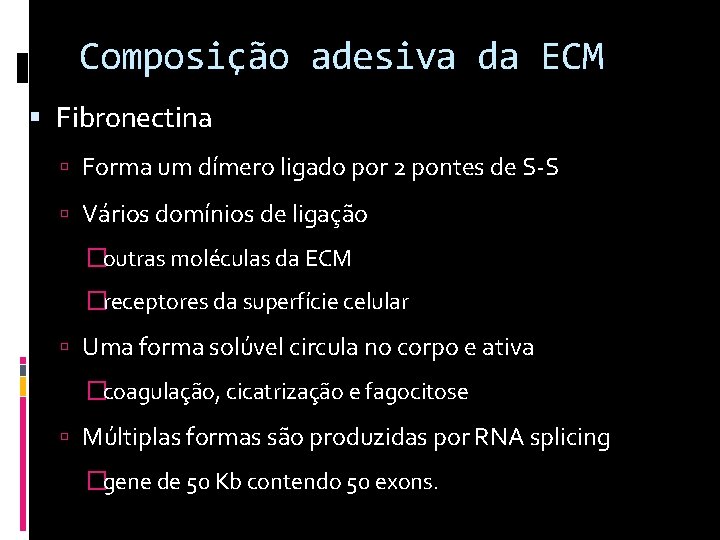 Composição adesiva da ECM Fibronectina Forma um dímero ligado por 2 pontes de S-S