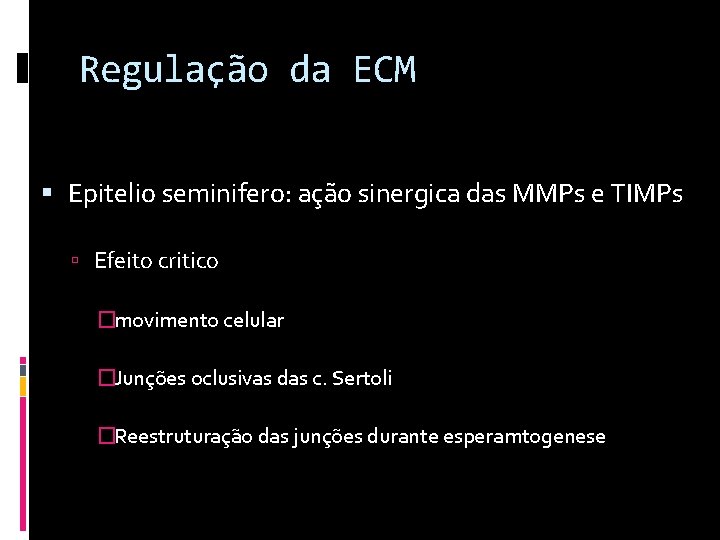 Regulação da ECM Epitelio seminifero: ação sinergica das MMPs e TIMPs Efeito critico �movimento