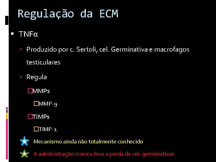 Regulação da ECM TNFα Produzido por c. Sertoli, cel. Germinativa e macrofagos testiculares Regula