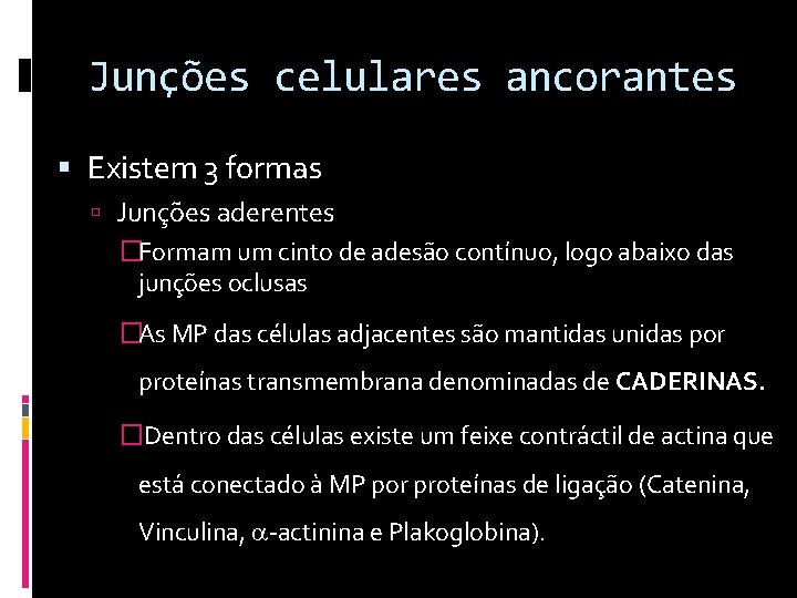 Junções celulares ancorantes Existem 3 formas Junções aderentes �Formam um cinto de adesão contínuo,