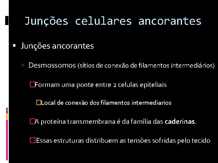 Junções celulares ancorantes Junções ancorantes Desmossomos (sítios de conexão de filamentos intermediários) �Formam uma