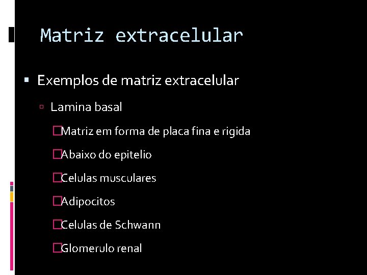 Matriz extracelular Exemplos de matriz extracelular Lamina basal �Matriz em forma de placa fina