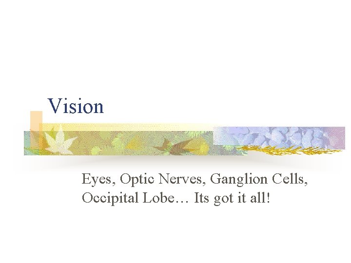 Vision Eyes, Optic Nerves, Ganglion Cells, Occipital Lobe… Its got it all! 