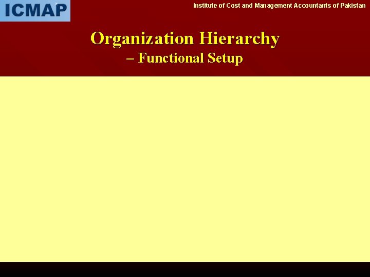 Institute of Cost and Management Accountants of Pakistan Organization Hierarchy – Functional Setup 