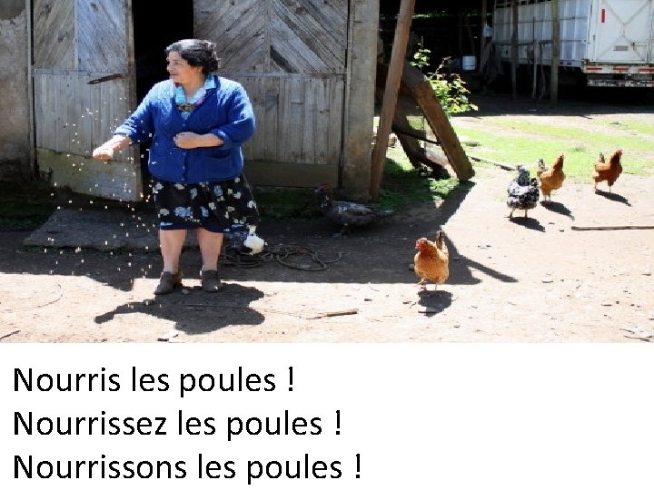 Nourris les poules ! Nourrissez les poules ! Nourrissons les poules ! 